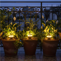 Pack de 4 estacas solares Premium con 8 LED