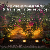 Pack de 4 estacas solares Premium con 8 LED