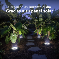 Pack de 4 estacas solares Premium con 8 LED