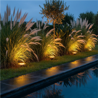 Pack de 4 estacas solares Premium con 8 LED