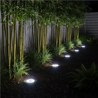 Pack de 4 estacas solares Premium con 8 LED
