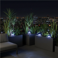 Pack de 4 estacas solares Premium con 8 LED