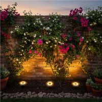 Pack de 4 estacas solares Premium con 8 LED